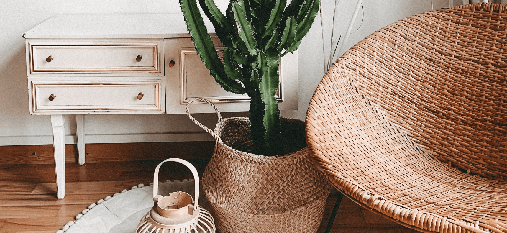 decoración
